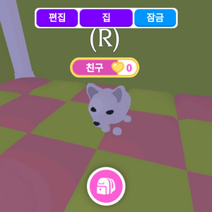 입양하세요 북극여우 팝니다