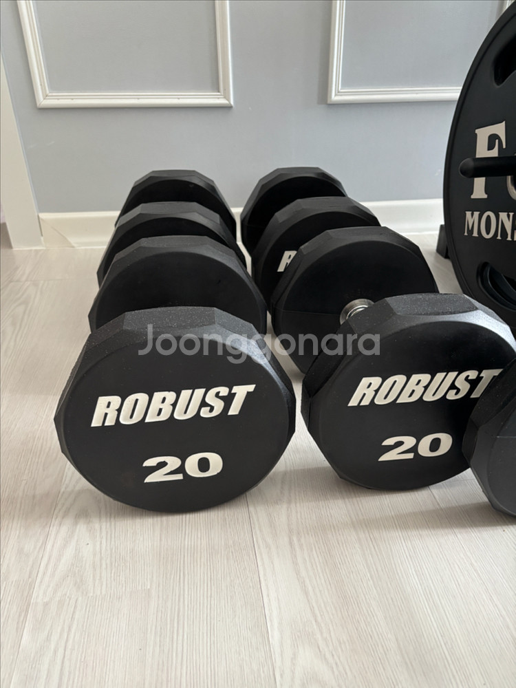 로버스트 덤벨 세트 200KG--2