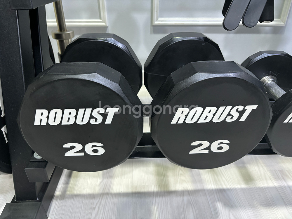 로버스트 덤벨 세트 200KG--3