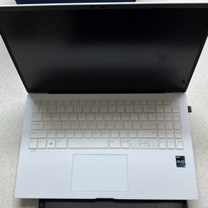LG 그램 15.6인치 i5 13세대 15Z90R-GA