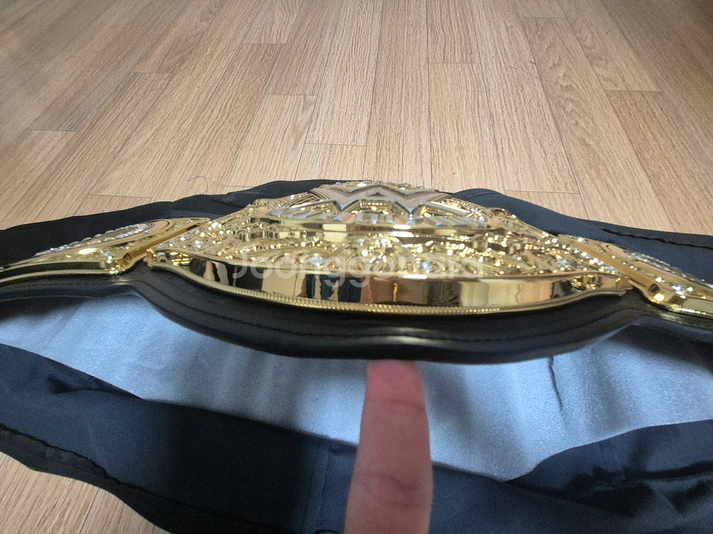 wwe 월드헤비웨이트 챔피언 벨트 팝니다.--7