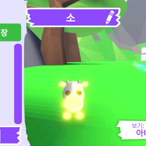 입양하세요 펫 메가네온 소 (젖소)(메젖) 판매합니다