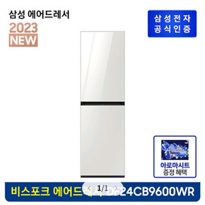 삼성 에어드레서 DF24CB9600WRA1 시트포함