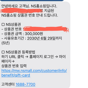 NS 상품권 30만원