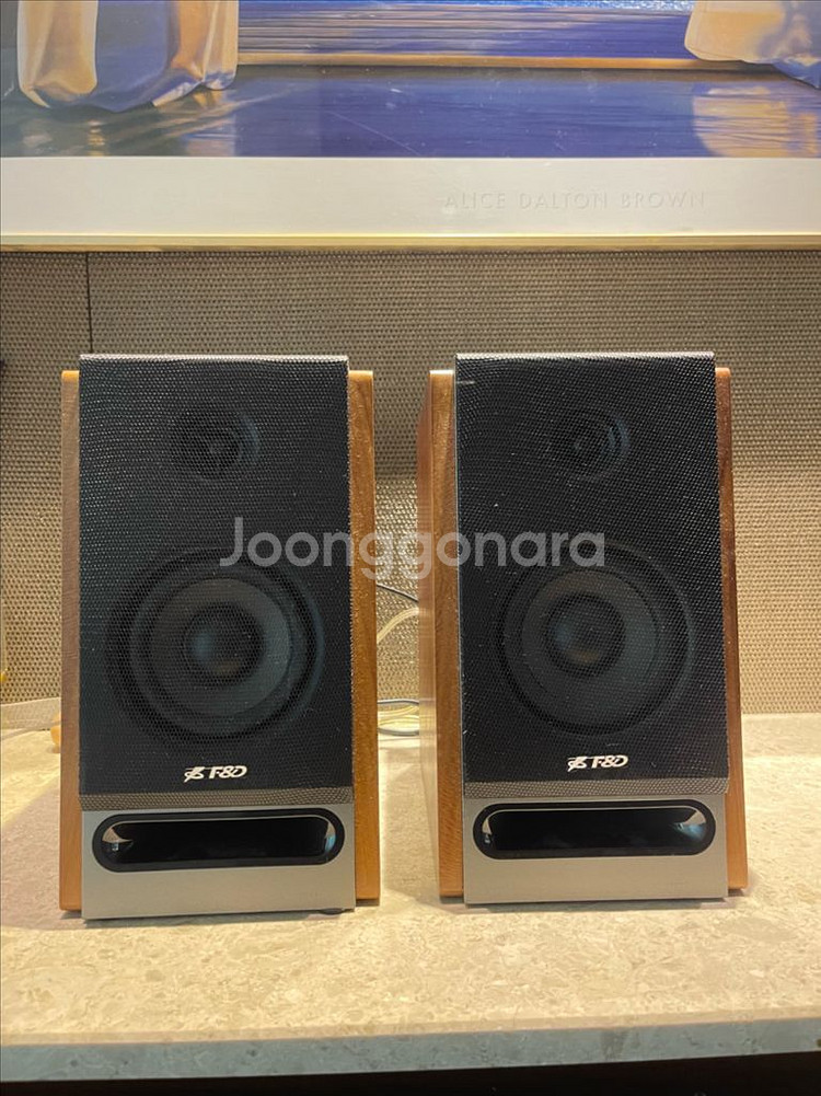 캔스톤 F&D R25 북쉘프 2채널 스피커--0