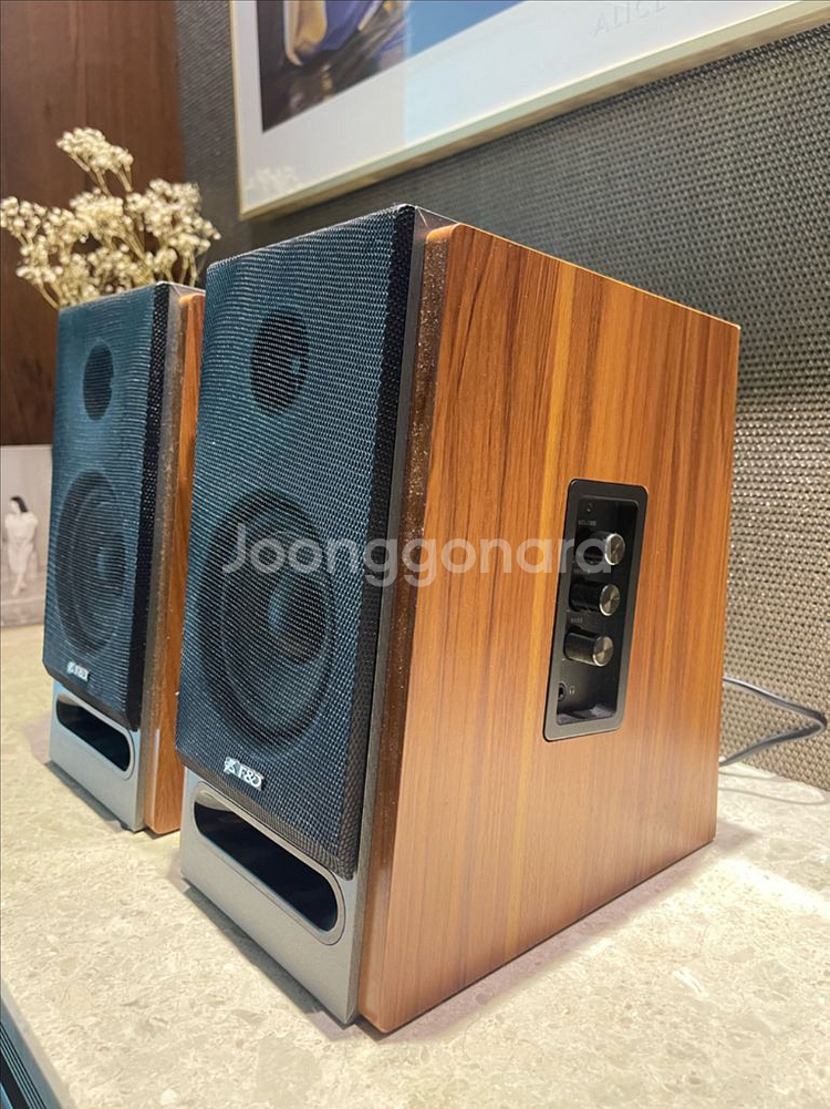 캔스톤 F&D R25 북쉘프 2채널 스피커--1