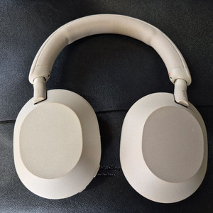 소니 WH1000X M5