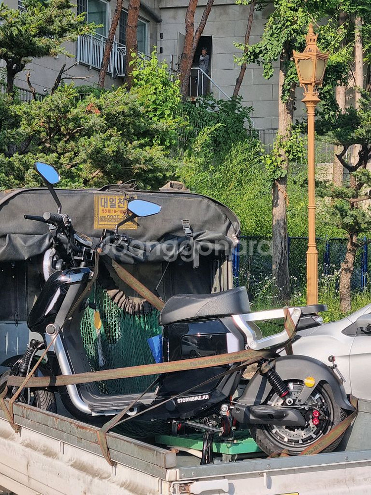 스톰Lt (60v 50ah)--1