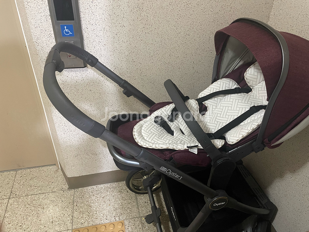 오이스터3--1