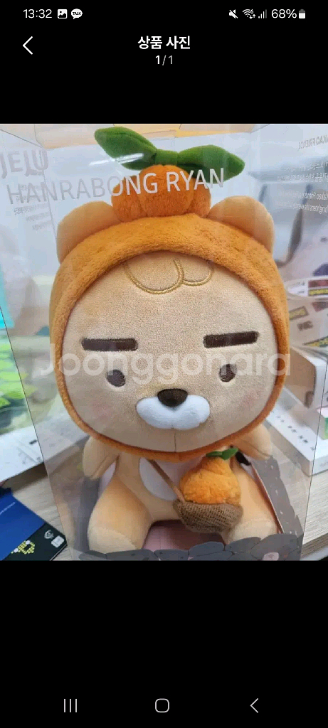 카카오 제주한라봉 라이언인형--0