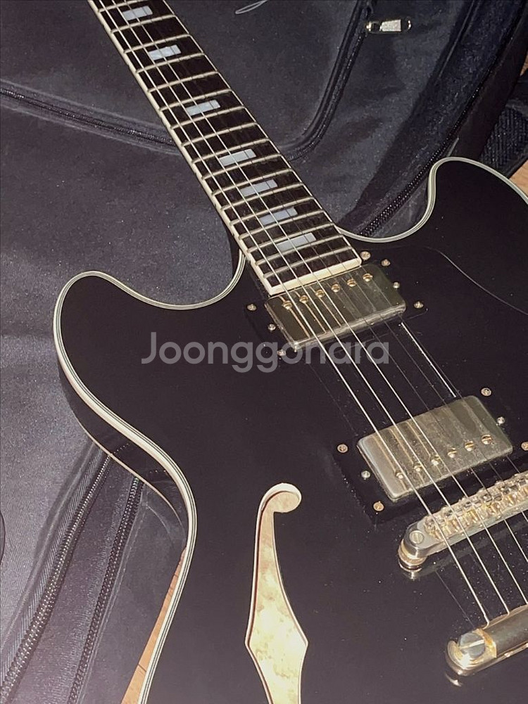 사이어 h7 세미할로우 일렉기타--1