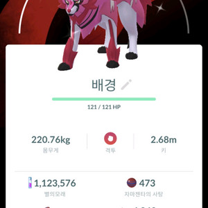 포켓몬고 베경로치 자마젠타 팝니다