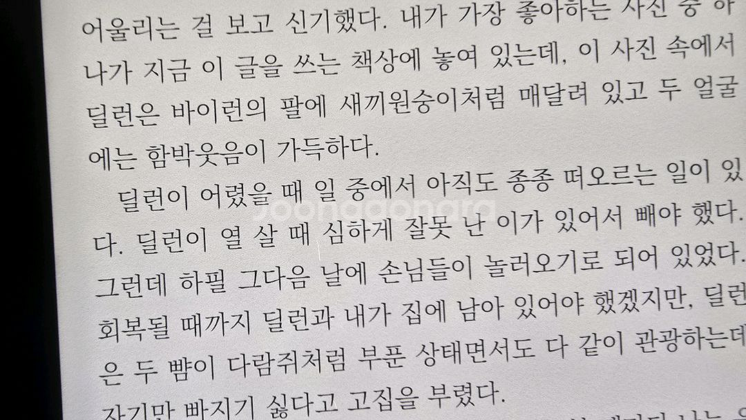 리디페이퍼--3