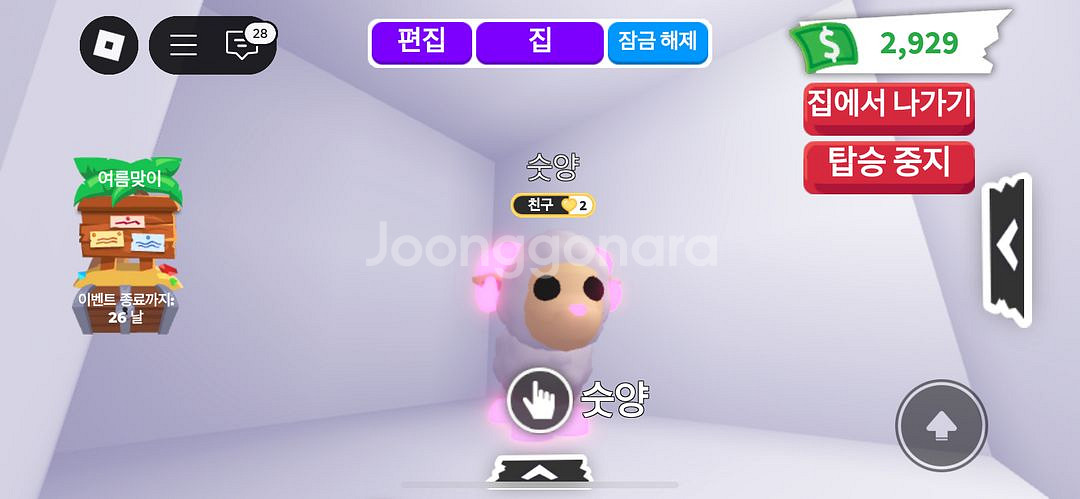 입양하세요 메가네온 타는 숫양 팔아요--0