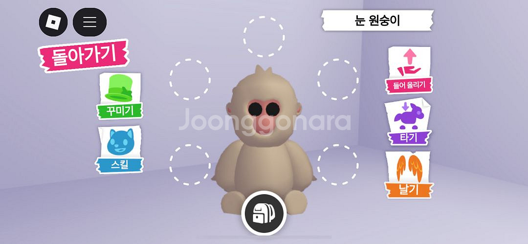 입양하세요 무능 눈원숭이 팔아요--0