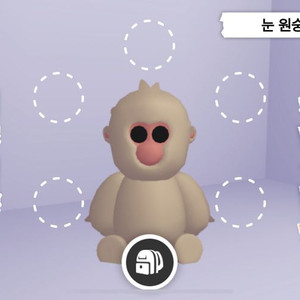 입양하세요 무능 눈원숭이 팔아요
