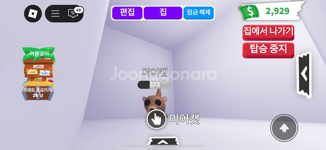 입양하세요 타는 미어캣 팔아요--0