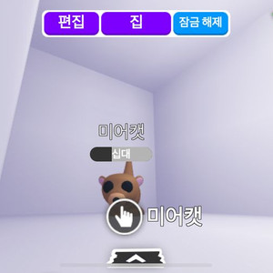 입양하세요 타는 미어캣 팔아요