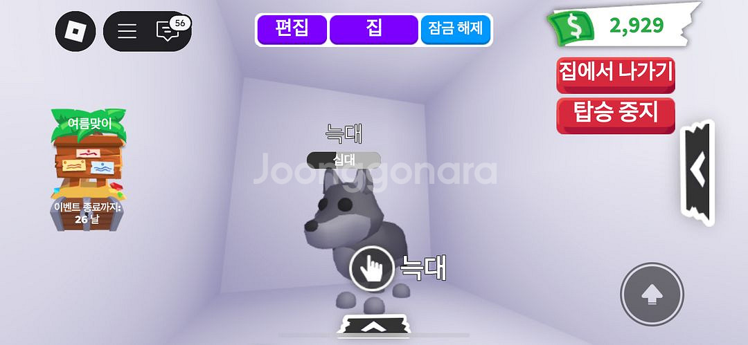입양하세요 타는 늑대 팔아요--0