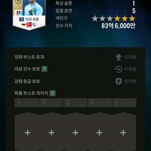 fc온라인 독일키퍼 티모호른11카팝니다(12카가능)