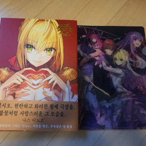 와다 아루코 화집 Fate ART WORKS 페이트