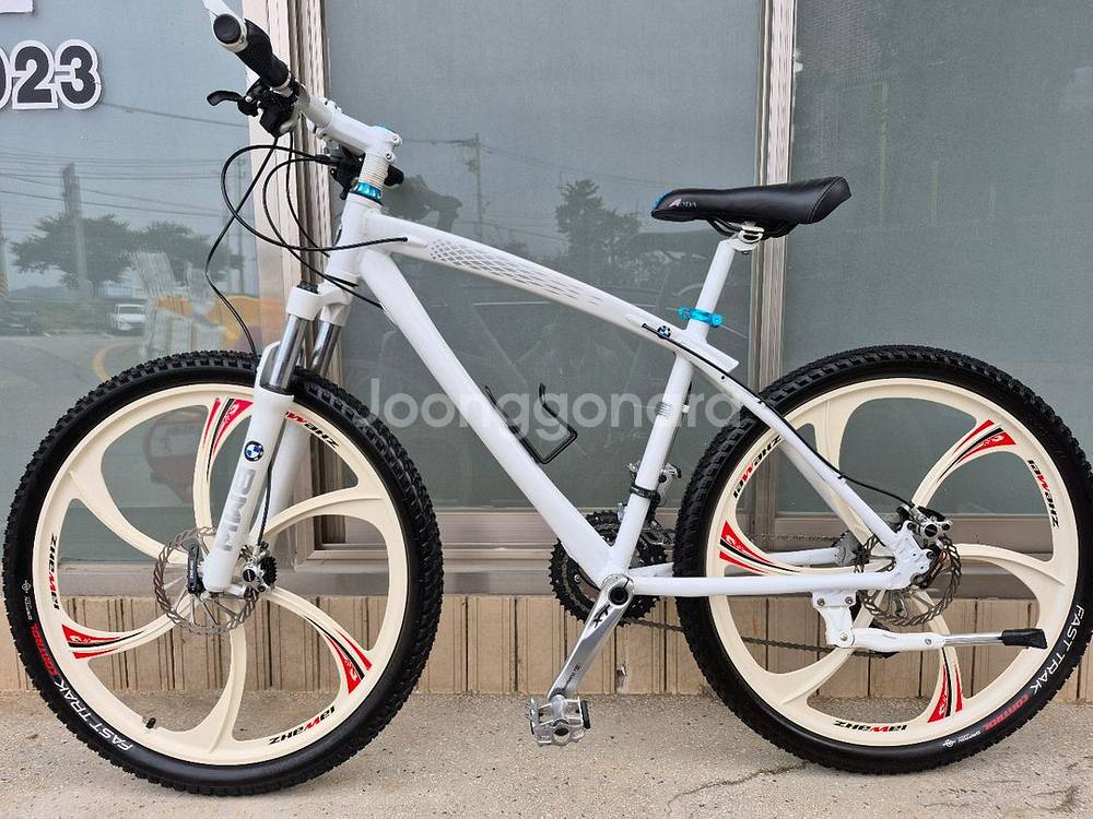 BMW 산악 MTB 자전거--0