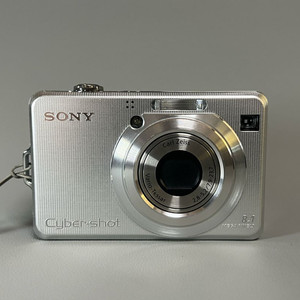 소니 DSC-W100 레트로 디카