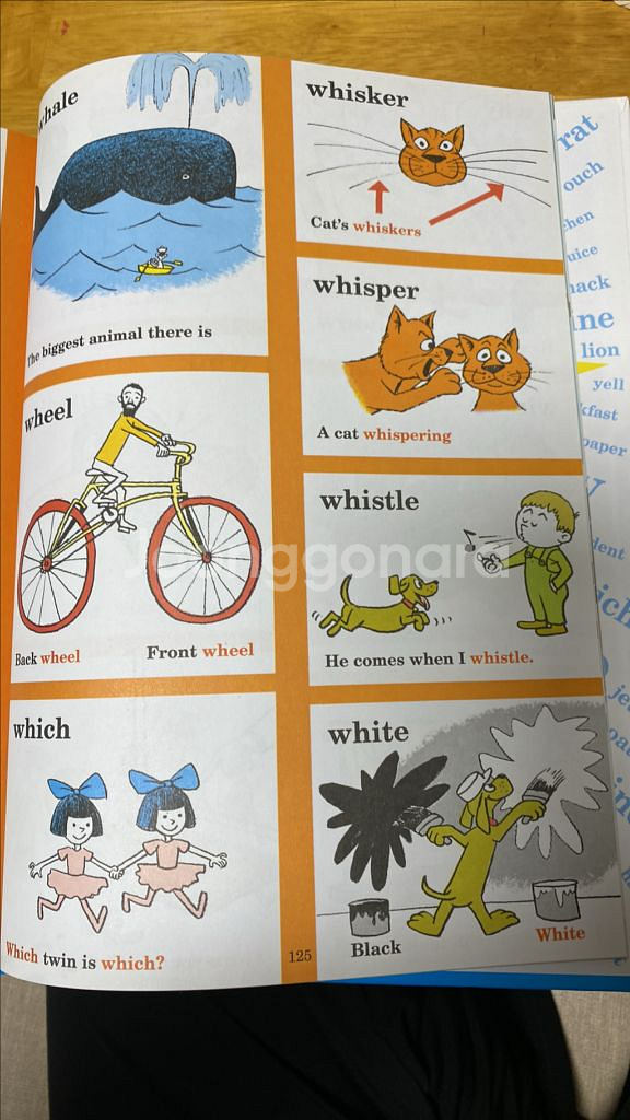 Beginner Book DICTIONARY--4