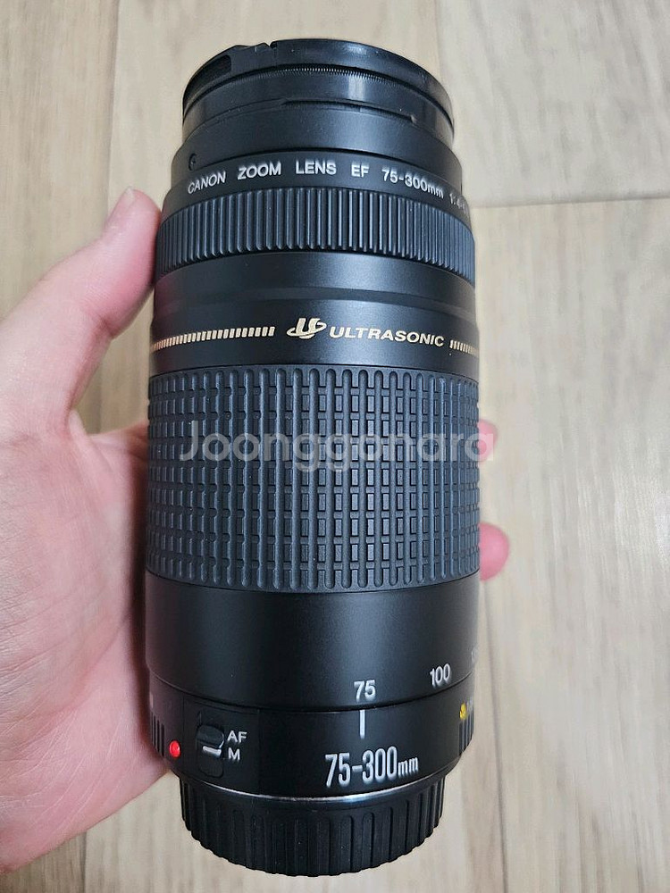 캐논 EF 75-300mm 렌즈--0