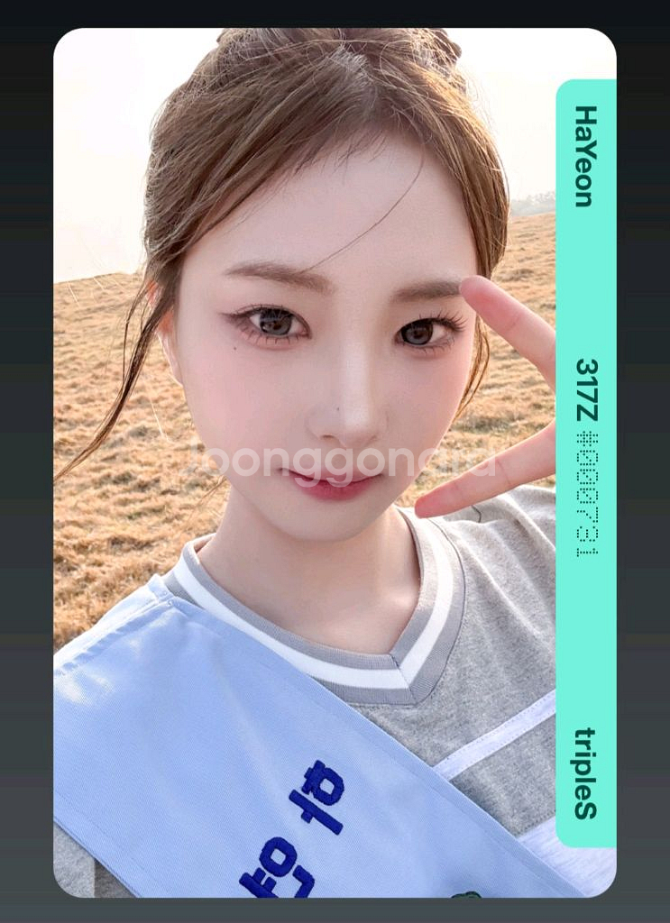 배지전쟁3 트리플에스 정하연 오브젝트 양도 판매--0