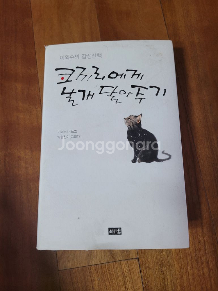 이외수 코끼리에게 날개 달아주기--0