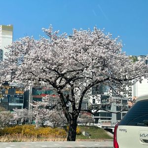 충북 청주시 비상주오피스 양도