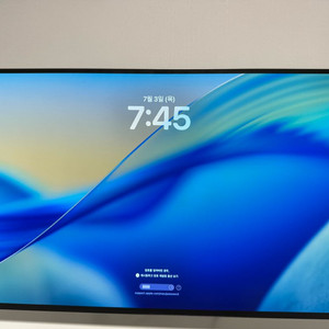 4K oled 모니터 (lg 32gs95ue)