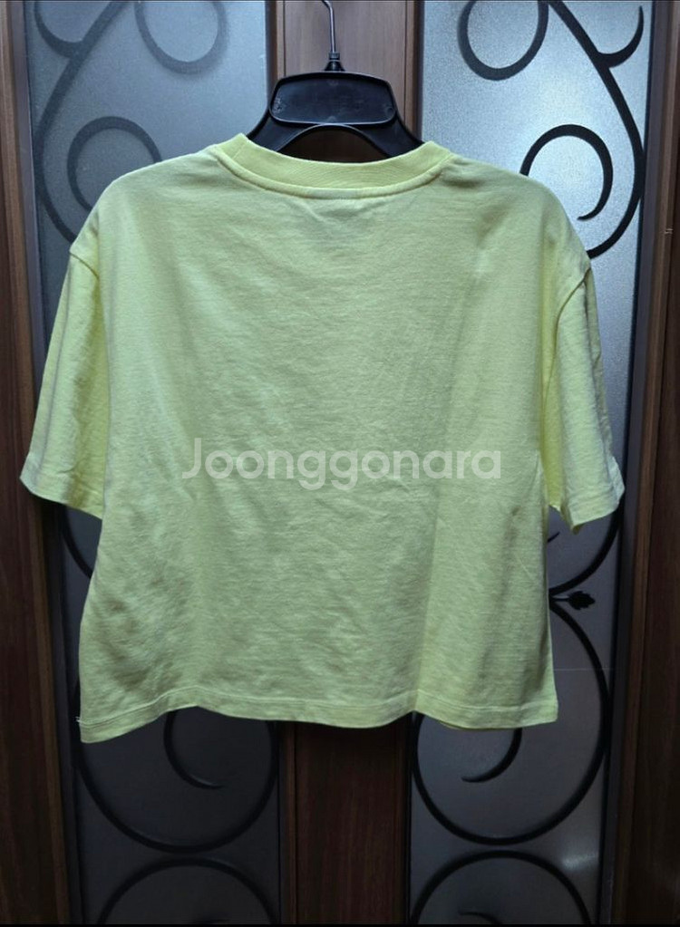 캉골 크롭 반팔티 YE M--1