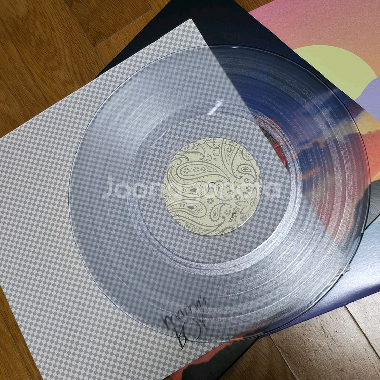레이니 lany 서피스 surfaces lp--1
