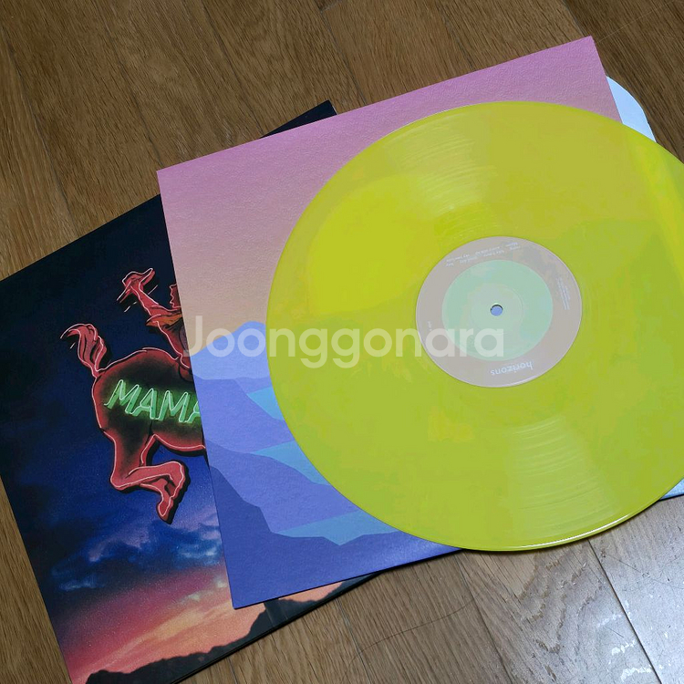 레이니 lany 서피스 surfaces lp--2