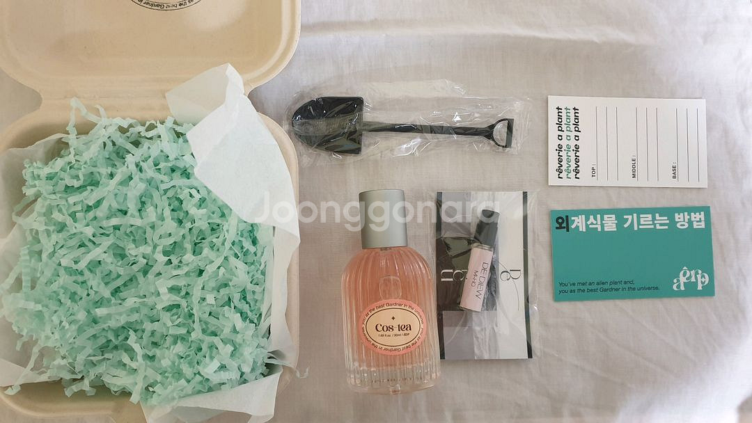 텀블벅 레브리어플랜트 코스티 향수 50ml--0