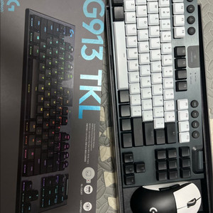 로지텍 g913 tkl + 지슈라2