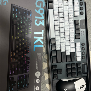 로지텍 g913 tkl + 지슈라2