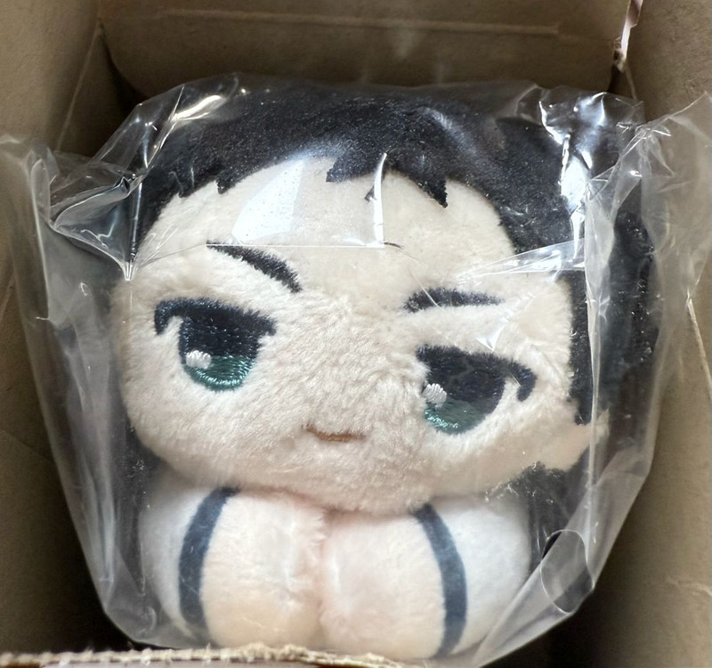 하이큐 아카아시 허그캬라 누이 모찌 미개봉 이미지