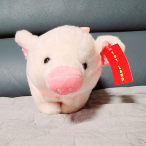 리본 복돼지 인형 새제품