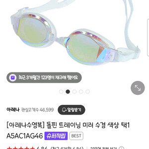 아레나 돌핀 트레이닝 미러 수경+후그 수경케이스