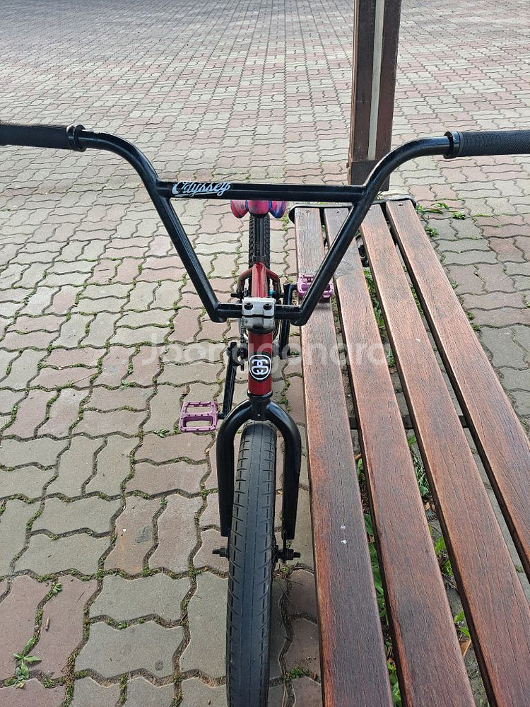 sunday forecaster bmx--2