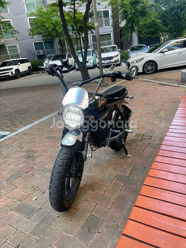 엑스라이더 터보 프로 크롬 60V 2000W 최저가--0