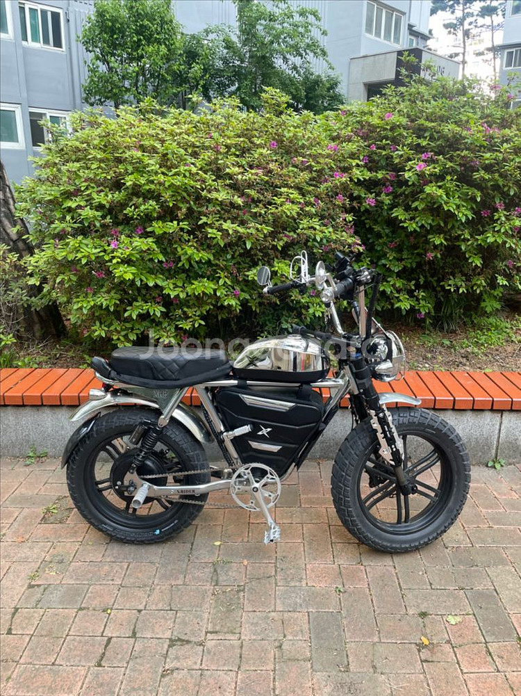 엑스라이더 터보 프로 크롬 60V 2000W 최저가--2