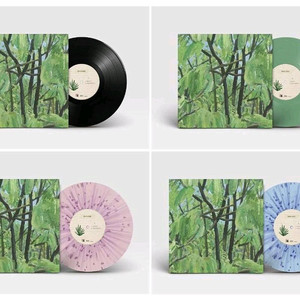 잔나비 cd lp 구해요