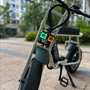 (급매) 모페즈 나노 1000w 스로틀 유