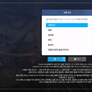니케 스텔라블레이드 스킨 코드