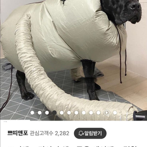 대형갼 펫라이자켓(쁘띠앤코)