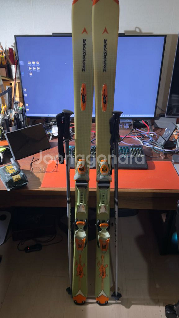 dynastar AGYL PLUS 160 스키세트--0